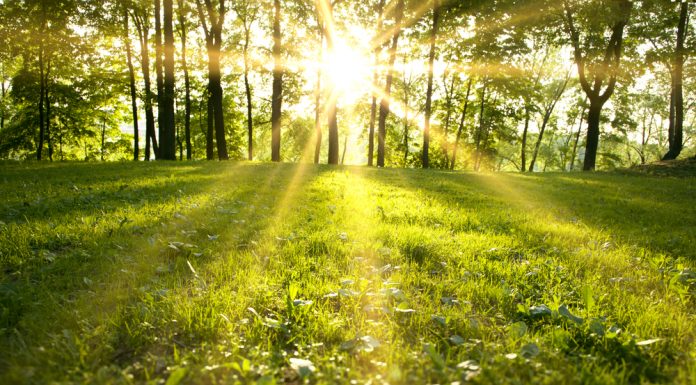 Prichádza jar! Pripravte sa na ňu pomocou nových doplnkov